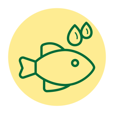 Omega 3