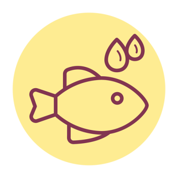 Omega 3