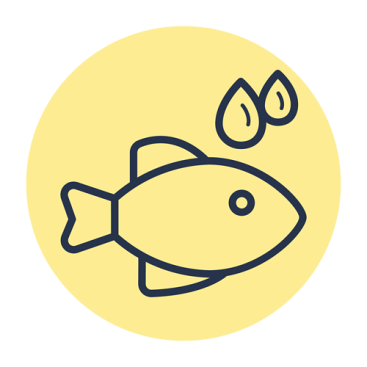 Omega 3