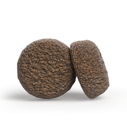 A/S ADULT HYPOALLERGENIC koostumus
