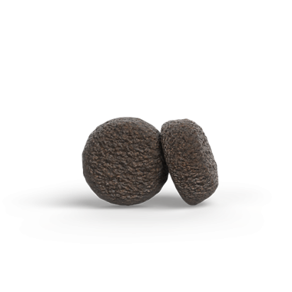 MINI ADULT SALMON & CHICKEN koostumus