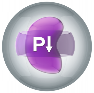 Renal plus