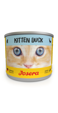 Kitten Duck wet