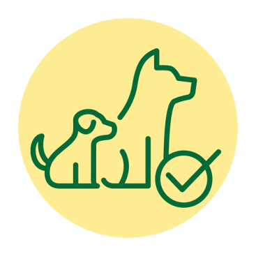 Optimaalinen kehitys