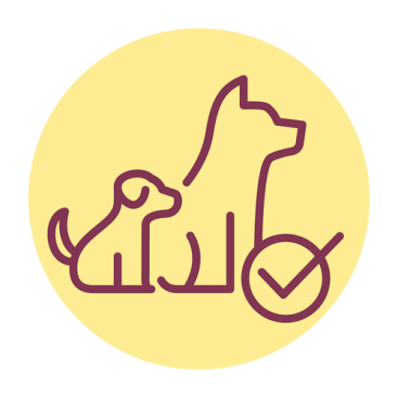 Optimaalinen kehitys